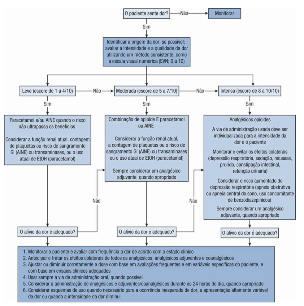 Farmacoterapia E Fisiopatologia Da Dor E Inflama O