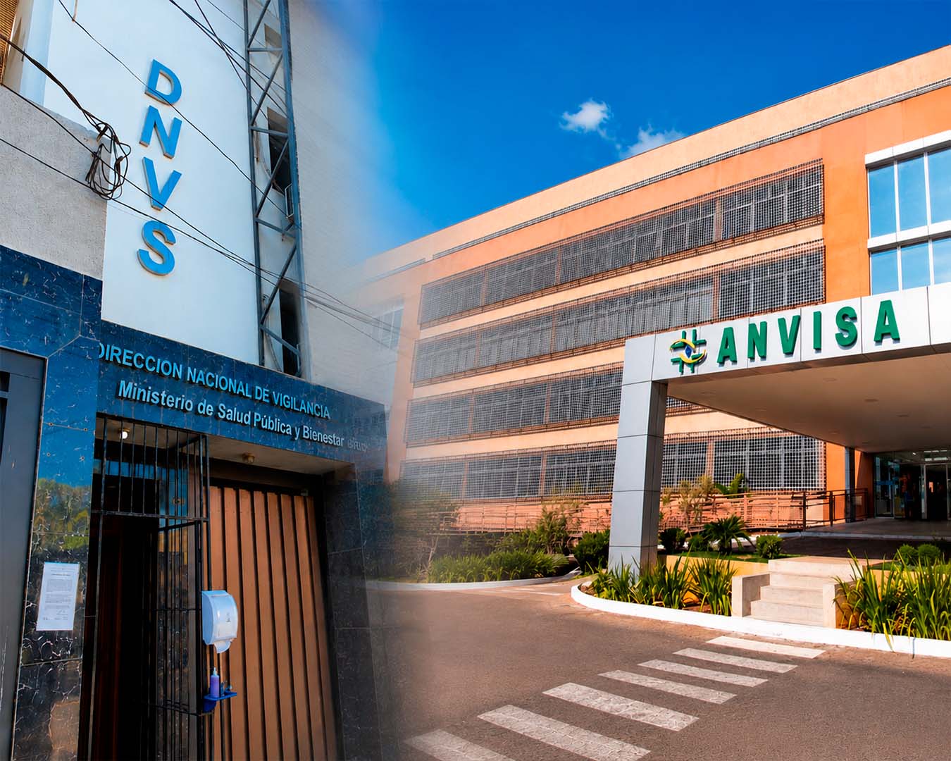 Anvisa e Dinavisa ampliam cooperação contra falsificação e contrabando de medicamentos