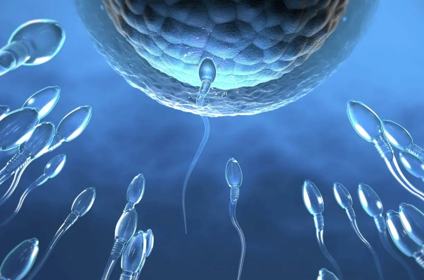 Anticoncepcional masculino avança e pode chegar ao mercado até 2028