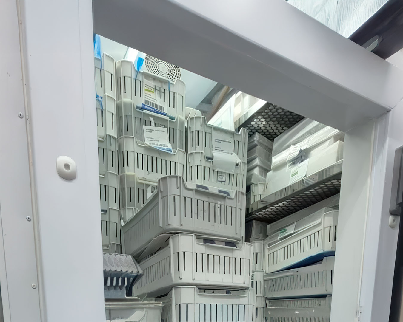 Apreensão de 90 mil ampolas para caneta de emagrecimento leva à prisão de dono de farmácia