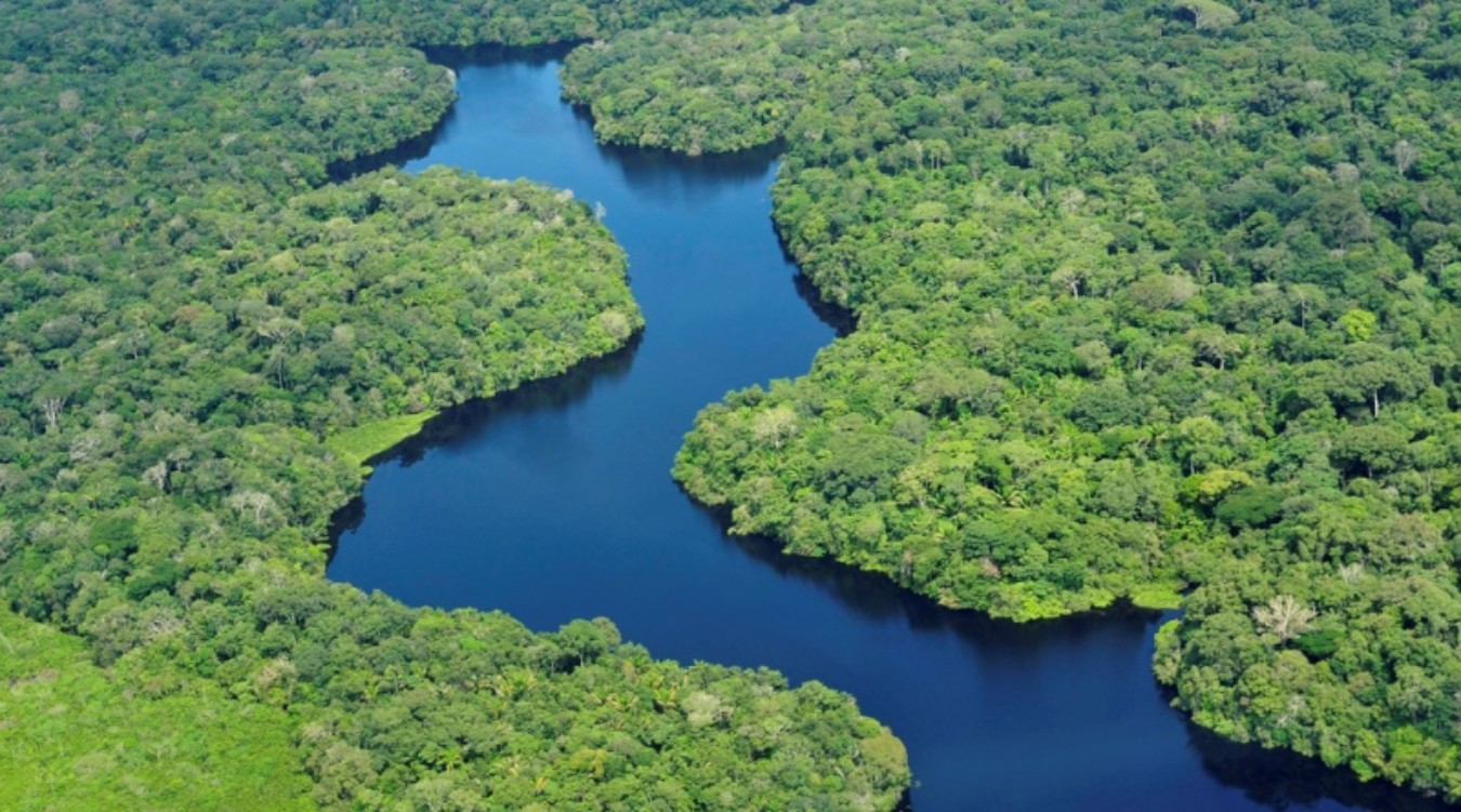 Biodiversidade da Amazônia abre possibilidades para o desenvolvimento de novos fármacos