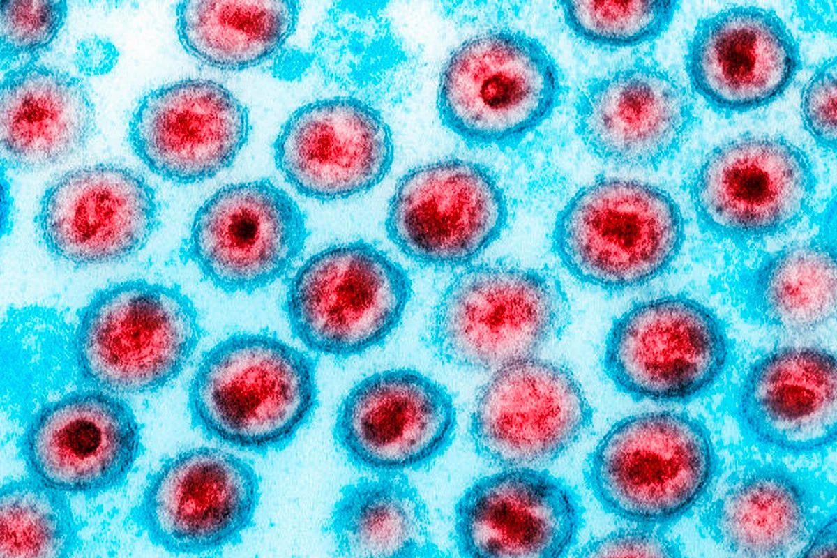 Brasil recebe reconhecimento da OMS pelo fim da transmissão vertical do hiv