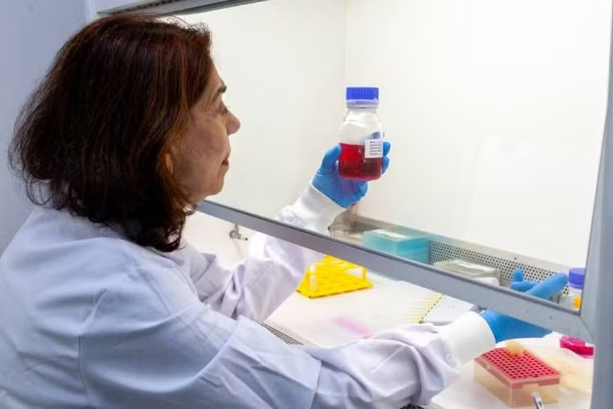 Butantan desenvolve anticorpo monoclonal para proteger gestantes contra o Zika