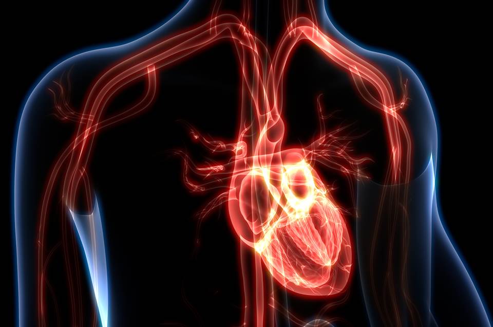 COVID-19 causa inflamação no coração e pode causar infarto