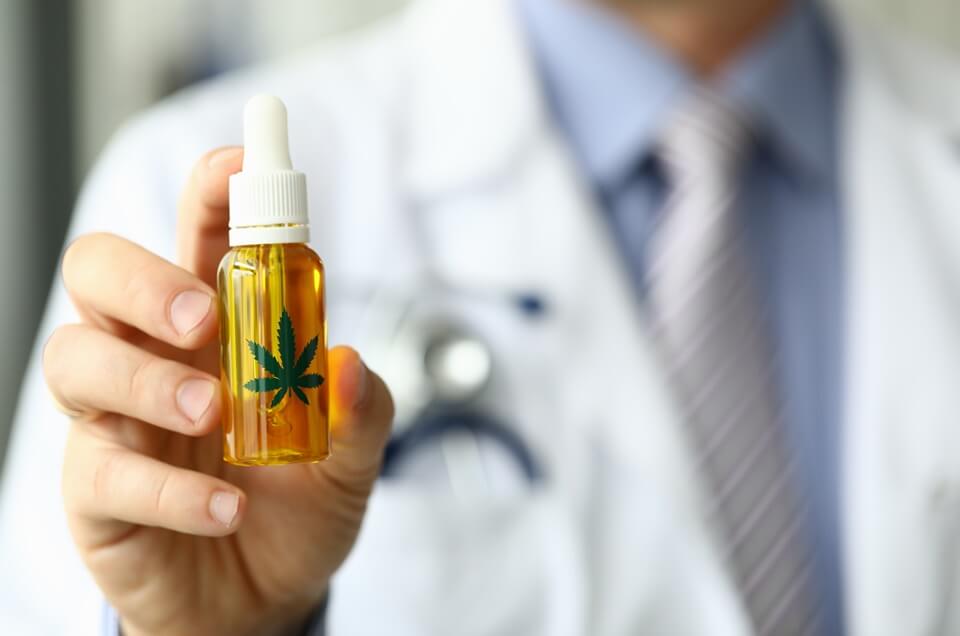 Cannabis S/A: Como a nova regulamenta&ccedil;&atilde;o tem animado o mercado