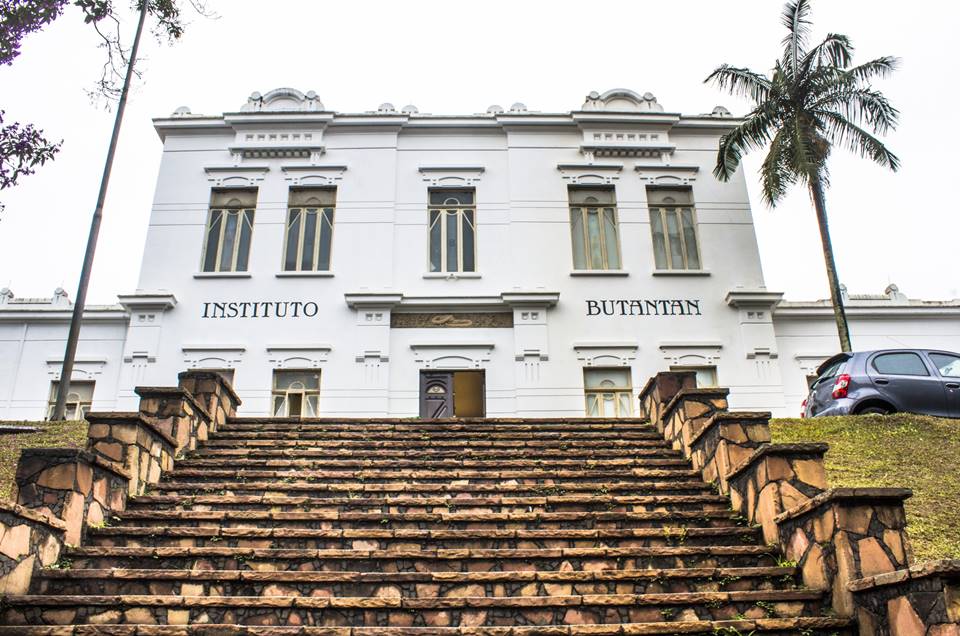 Ictq Covid 19 Instituto Butantan Podera Ter Vacina Ate O Final De 2020