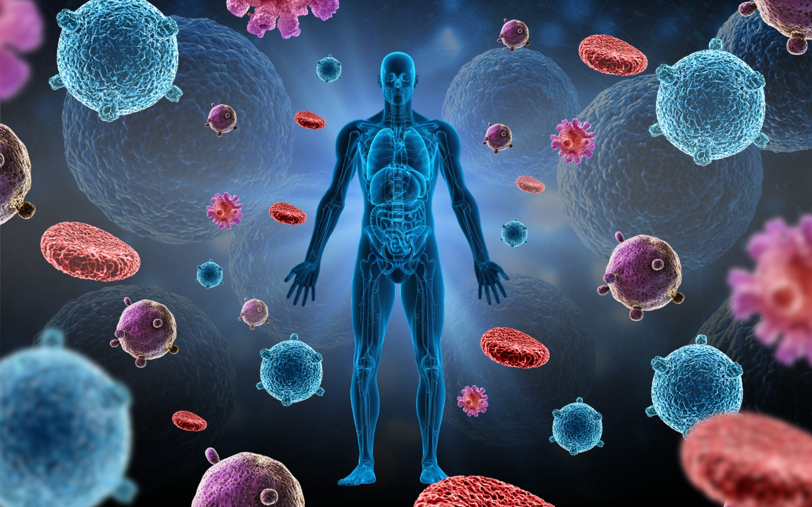Descoberta no sistema imunológico revela potencial para novos antibióticos