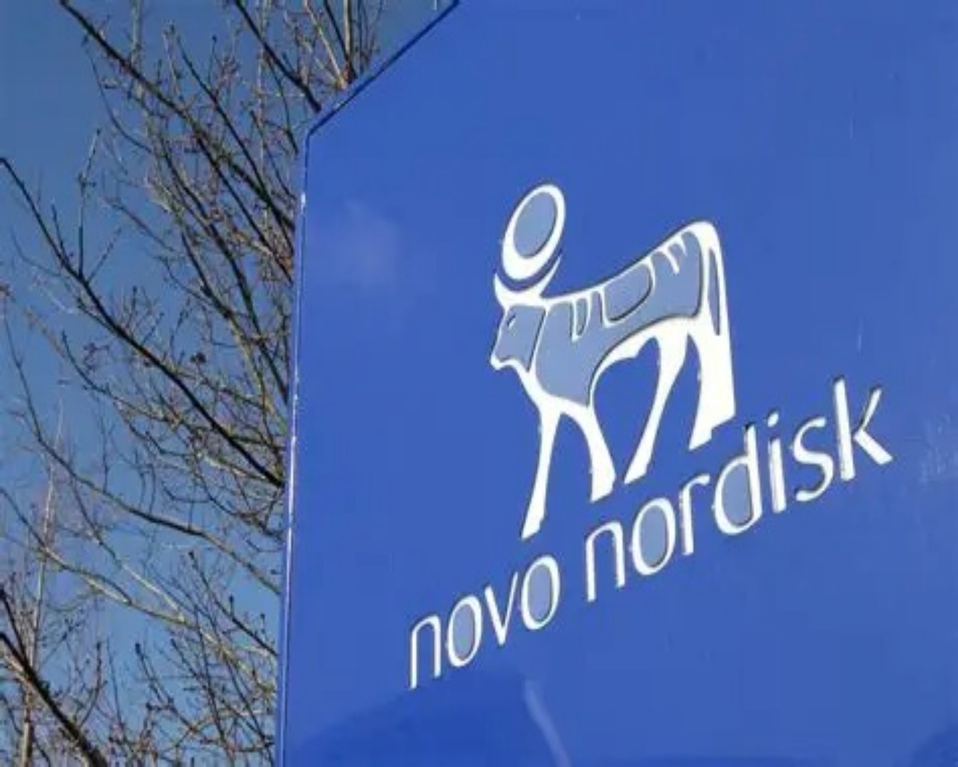 Novo Nordisk enfrenta crise e anuncia corte global de 9 mil trabalhadores