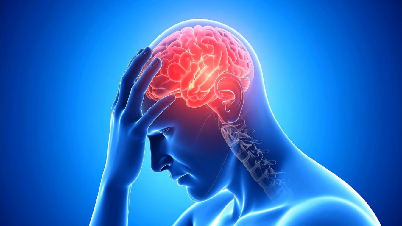 Novo anticoagulante aponta caminho mais seguro na prevenção de AVC