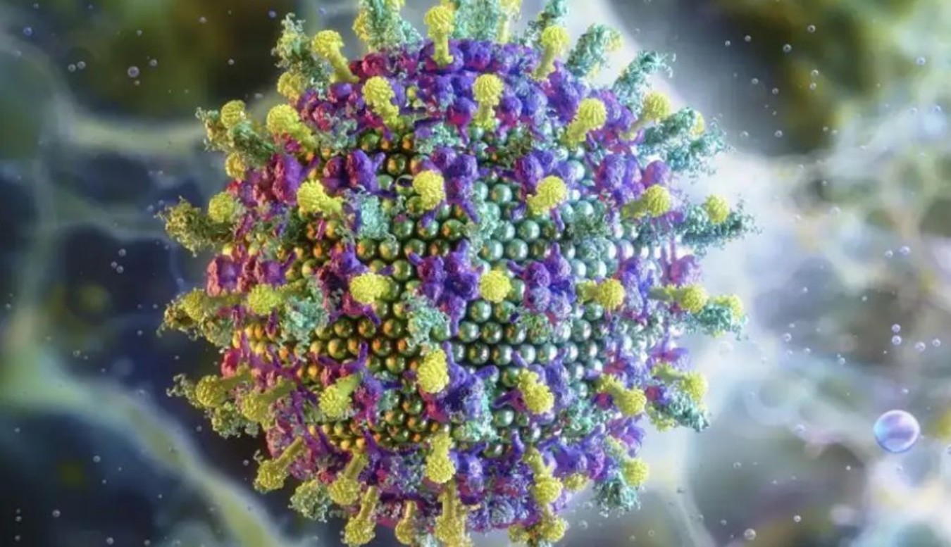 SUS se antecipa e conta com a Fiocruz na preparação contra o vírus Nipah