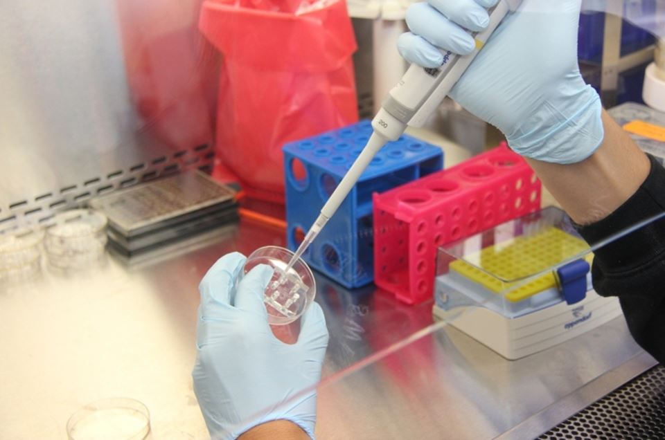 Vacina contra o coronavírus está em fase de testes finais 