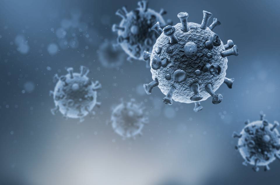 Vermífugo e medicamento para asma conseguem matar coronavírus em testes