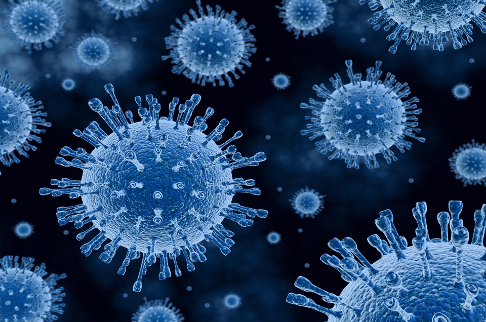 Vírus são agregados complexos de compostos orgânicos ou organismos vivos simples?