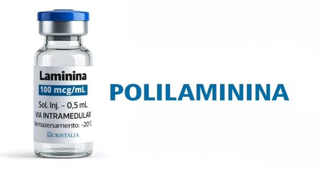 Sociedades científicas defendem cautela e rigor no debate sobre polilaminina