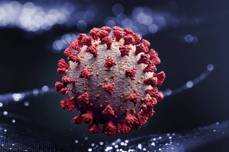 Coronavírus mata células-chave de defesa do organismo, diz estudo da USP