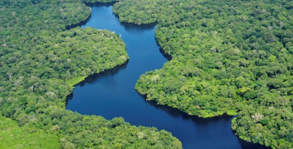 Biodiversidade da Amazônia abre possibilidades para o desenvolvimento de novos fármacos