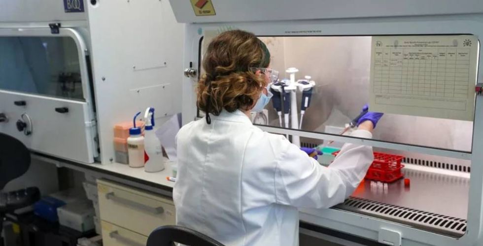 Covid-19: coquetel de anticorpos na reta final dos testes clínicos