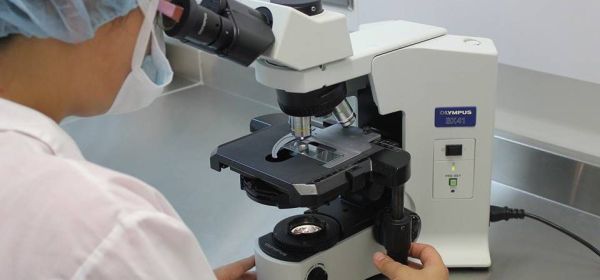 Proteína pode ser usada no tratamento de doenças neurodegenerativas