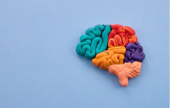 Estudo sugere que o autismo faz parte da evolução biológica humana