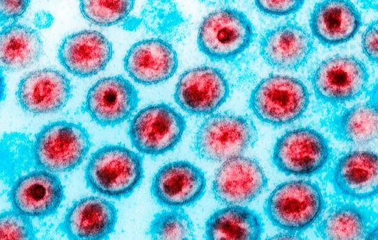 Brasil recebe reconhecimento da OMS pelo fim da transmissão vertical do hiv