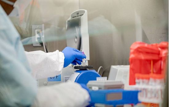 Medicamento usado na quimioterapia trava replicação do coronavírus