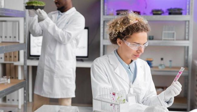 Cientistas criam tomate transgênico para mal de Parkinson