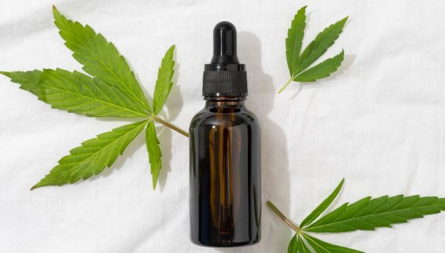 Anvisa proíbe produtos de cannabis da Acanne por falta de autorização válida