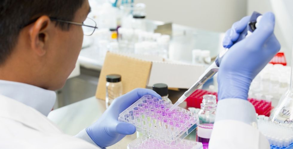 Pesquisa descobre nanopartícula que aumenta em até 10 vezes a eficiência de antibióticos