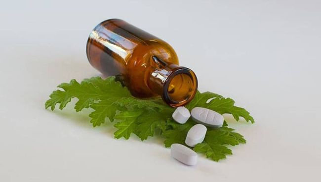 Como é feita a elaboração de bulas para fitoterápicos e medicamentos específicos