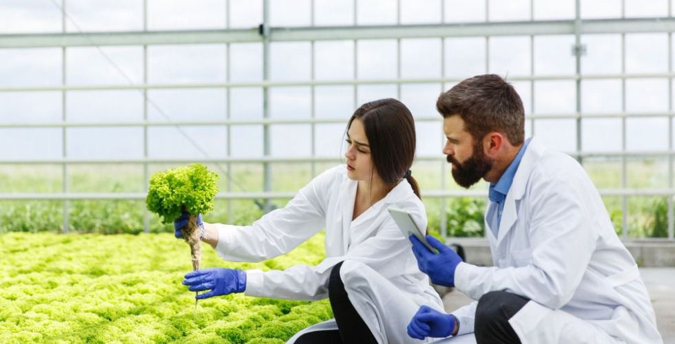 O que está prestes a acontecer com a farmácia viva no Brasil