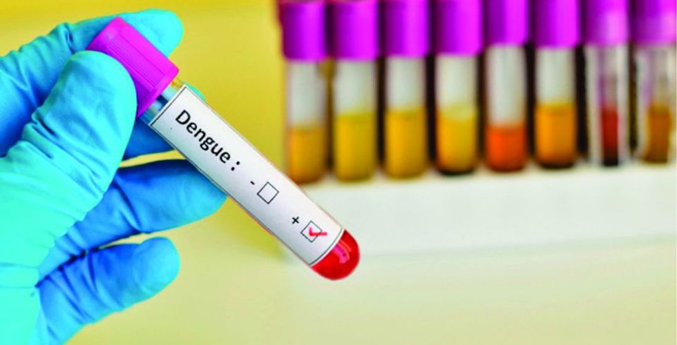 A prescrição farmacêutica em casos de doenças causadas pelo aedes aegypti