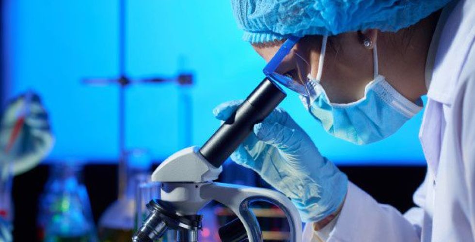 ‘Vírus virtual’ para estudar coronavírus