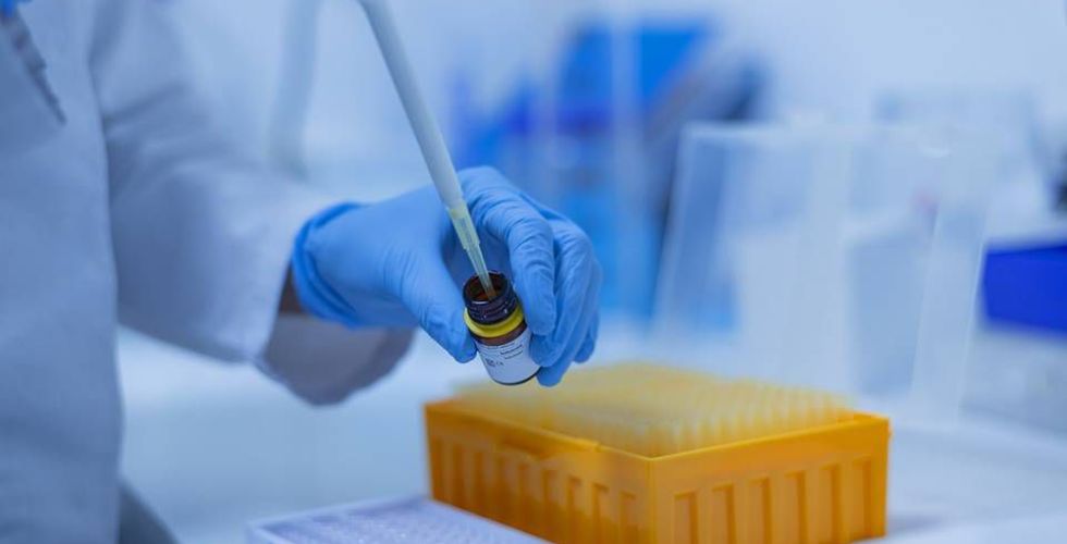 Melatonina produzida no pulmão impede infecção da Covid-19