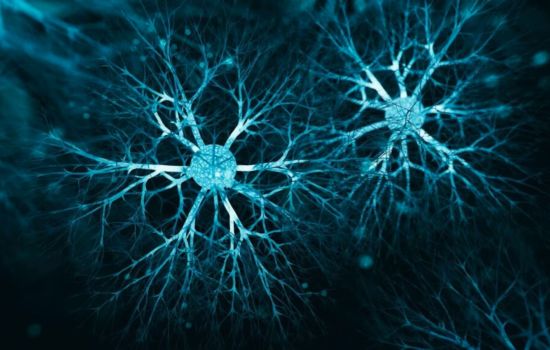 Estudo revela que medicamento para diarreia pode regenerar neurônio