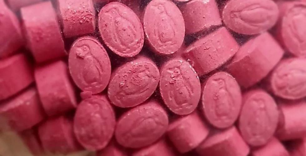 Ecstasy e fungos alucinógenos utilizados como medicamentos