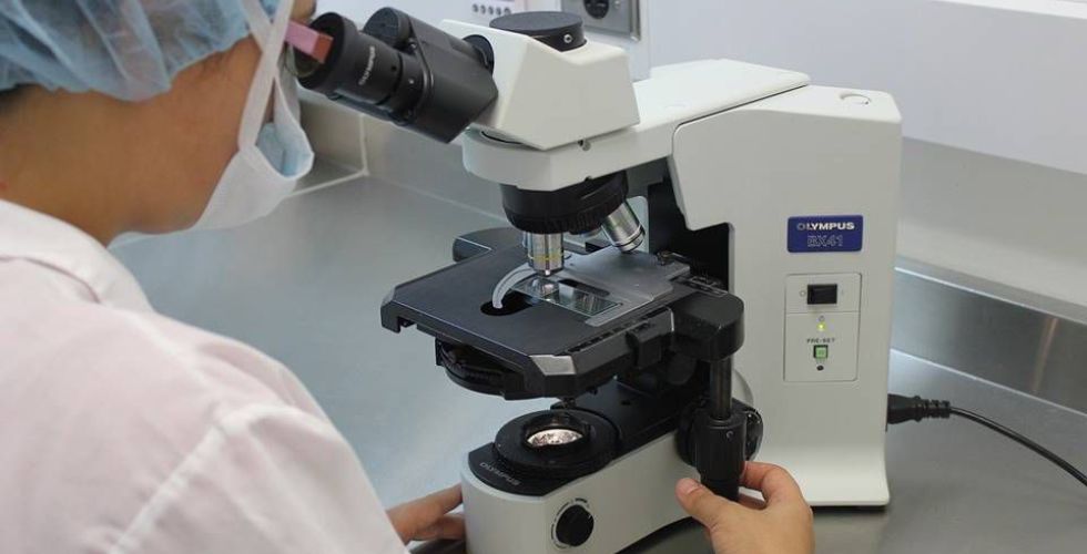 Proteína pode ser usada no tratamento de doenças neurodegenerativas