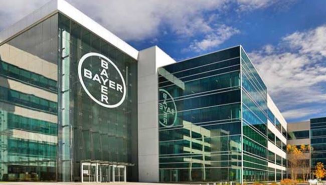Bayer tem prejuízo de R$ 58 bilhões por causa de herbicida