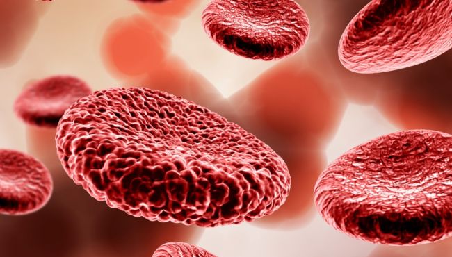 Descoberta iniciada nos anos 80 leva a tratamento inovador para anemia falciforme