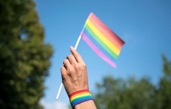Grupo de Trabalho do CFF revoluciona o setor da saúde com iniciativas inclusivas para a comunidade LGBTQIAPN+