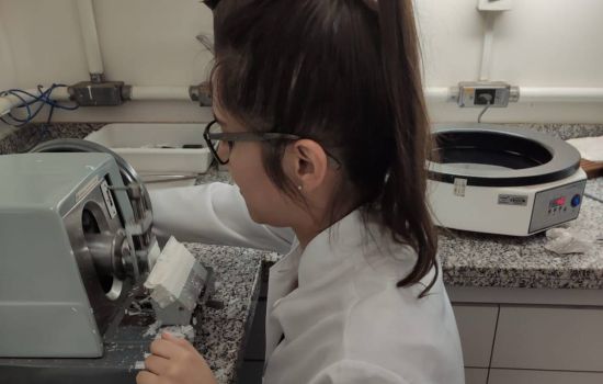 Estudo da Unesp cria nova estratégia nanotecnológica para tratar candidíase
