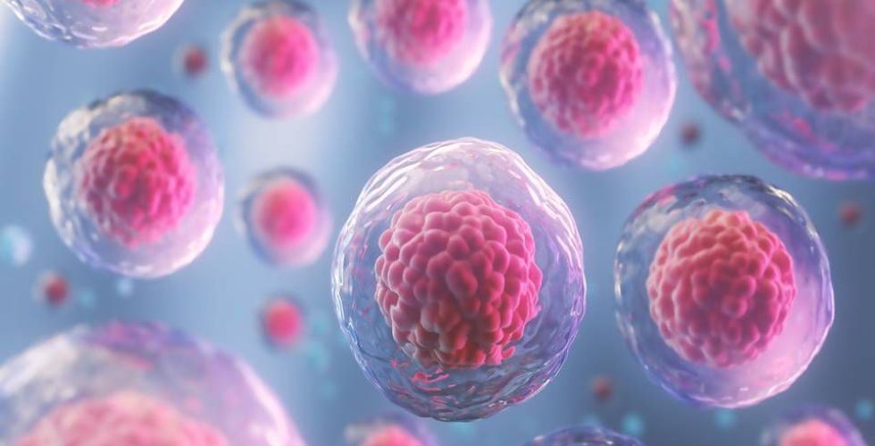 Criado Sistema Nacional de Biovigilância
