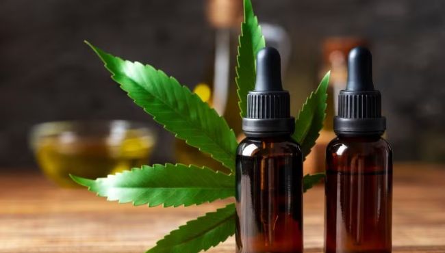 CBD e THC mostram resultado contra agitação em idosos com demência avançada