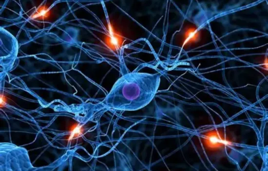 Cientistas descobrem como desligar neurônios que causam ansiedade