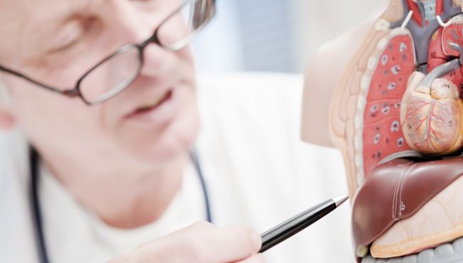 Farmacocinética Clínica e Farmacodinâmica