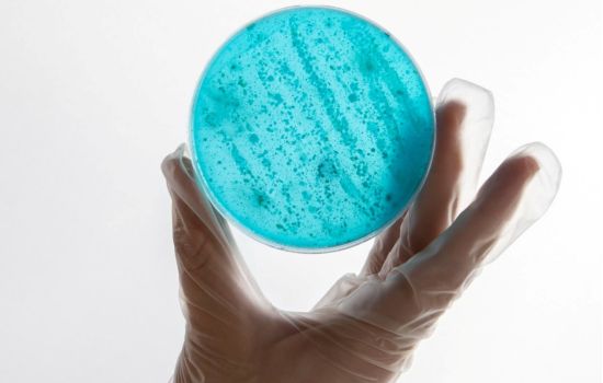 Laboratório de microbiologia: proteção final contra contaminações e endotoxinas na indústria farmacêutica