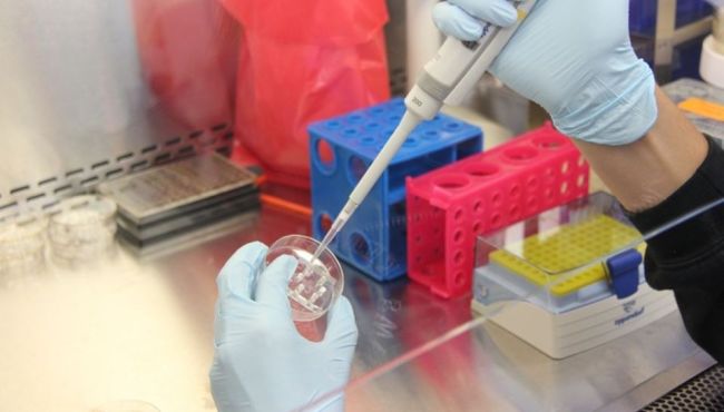 Vacina contra o coronavírus está em fase de testes finais
