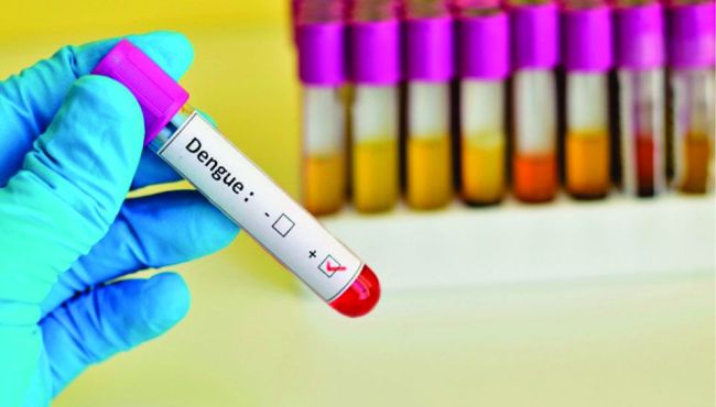 A prescrição farmacêutica em casos de doenças causadas pelo aedes aegypti