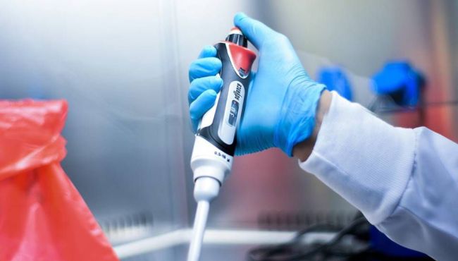 Falha imunológica pode agravar quadro de Covid-19, dizem cientistas