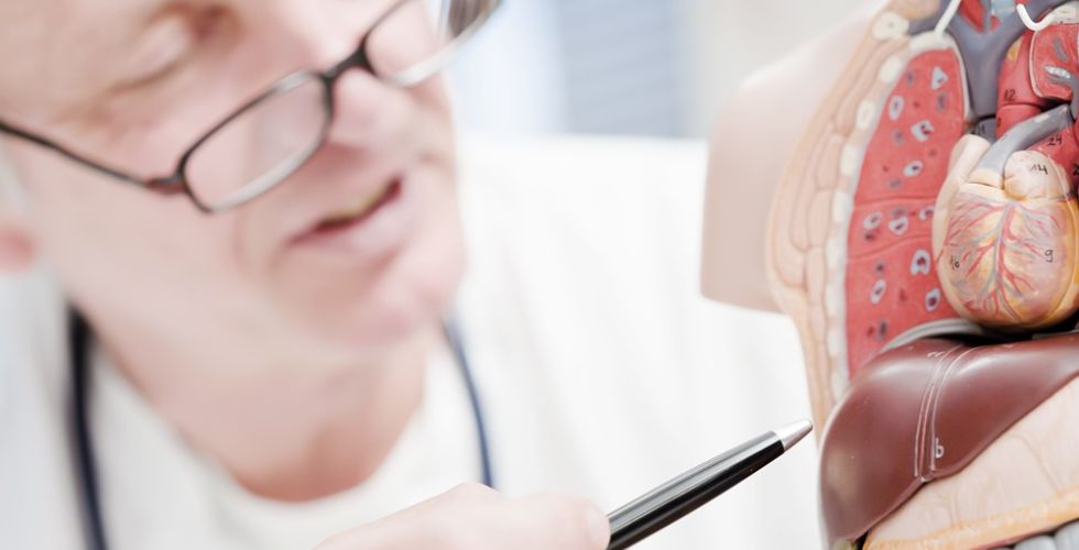 Farmacêutico descobre técnica para criar minifígados com impressão em 3D