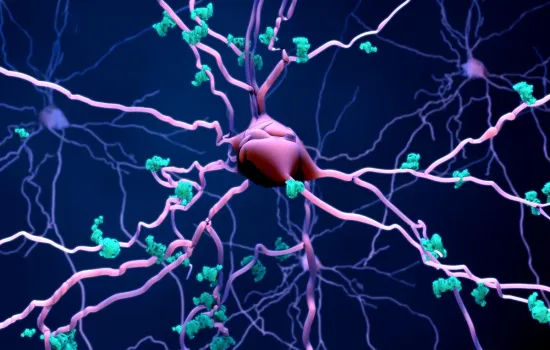 Medicamento antigo mostra efeito promissor contra morte de neurônios no Alzheimer
